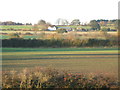 Farmland northeast of Throckley (2)