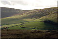 Fields above Williamhope