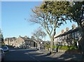 Broad Lane, Moldgreen