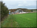 Boat builders near the Teifi Estuary