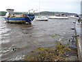 Part of the Teifi Estuary