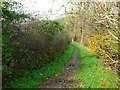 Balcorrach, riverside path