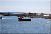 NU2232 : Boat in Seahouses Harbour by N Chadwick