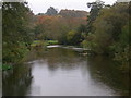 River Avon,  Lower Woodford