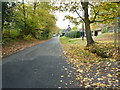 A leafy Pockford Road Chiddingfold