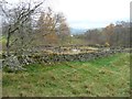 Sheepfold beside Allt Tarruinchon