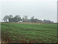 Struthers Barns, near Craigrothie