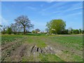 Farmland, Sparsholt