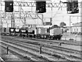 Ballast Train at Crewe, 1989