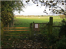 NZ2220 : Gate to bridleway off Houghton Lane by peter robinson