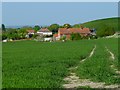 Farmland, West Hendred