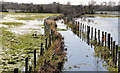 Flooding, Portadown (3)