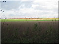 View towards Billyards Farm