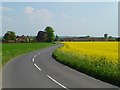 SU5887 : Road and farmland, Cholsey by Andrew Smith