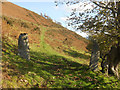 Footpath above Afon Rhaeadr