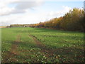 View towards Glentworth Hall