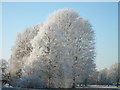 Crabtree Meadow Leamington Winter 2010