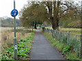 Footpath and cycleway, Fetcham