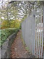 Footpath - Norwood Avenue