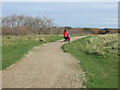 Path towards Hightown