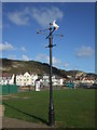 White rabbit West Shore Llandudno