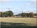 Farmland east of Latherford Lane