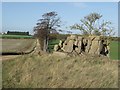 Ruined pill box and track to Grange covert