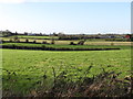 Farm land west of Cross Road