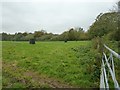 Plastic tubes in field near Knowle Lane