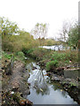 Tributary, River Crouch