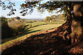 Footpath at Eastham