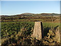 Scarness Trig pillar