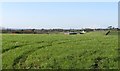 Farmland west of the Cross Road