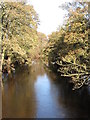 The River Bann from the Lisnamulligan Bridge