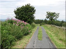 SD5684 : Minor road, Warth Hill by Richard Webb