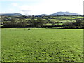 The floodplain of the Upper Bann from Mill Road