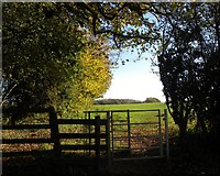 ST5499 : Another Kissing Gate by Colin Bews