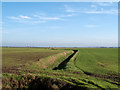 Fields with drain south of Swinefleet