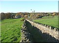 Footpath to Ousel Hole and Sunny Dale, East Morton