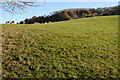 Farmland near Highwood