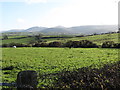 Pasture land on drumlins east of the Ballycoshone Road