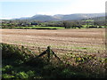 Harvested cropland south of the middle section of Ballycoshone Road