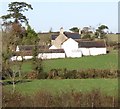 Traditional style farmhouse and outbuildings on the Cavan Road