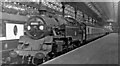 TQ2878 : Victoria Station, with Oxted line steam train by Ben Brooksbank