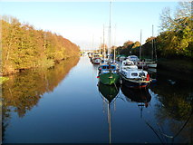 SO6401 : Boats in Lydney Harbour by Jaggery