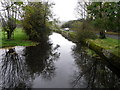 River Ebble, Broad Chalke - 6