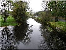 SU0425 : River Ebble, Broad Chalke - 6 by Maigheach-gheal