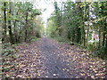 Downs Link path on the outskirts of Cranleigh