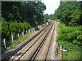 Railway line by Sheath Lane, Oxshott