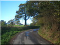 A bend in the road from Allerford to Portgate